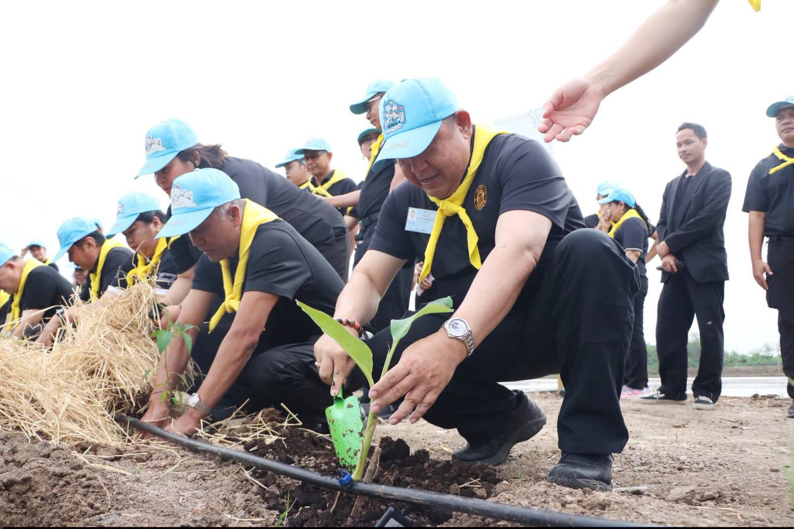 title - ส.ป.ก. ร่วมกิจกรรมโครงการจิตอาสาพัฒนาด้านการเกษตร กษ. เฉลิมพระเกียรติสมเด็จพระนางเจ้าฯ พระบรมราชินี เนื่องในโอกาสมหามงคลเฉลิมพระชนมพรรษา 4 รอบ 3 มิถุนายน 2569 ณ ศูนย์ส่งเสริมและพัฒนาอาชีพเสริมนอกภาคการเกษตร (ศูนย์ศิลปาชพบางไทรฯ เดิม)